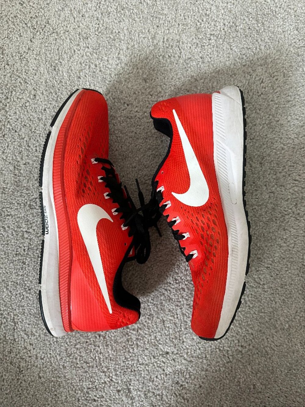 Men's Nike Air Zoom Pegasus 34